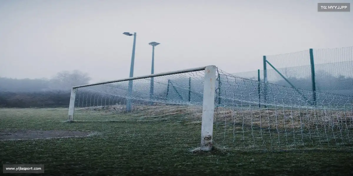 意甲赛程——💃体操腾跃,完美定格!